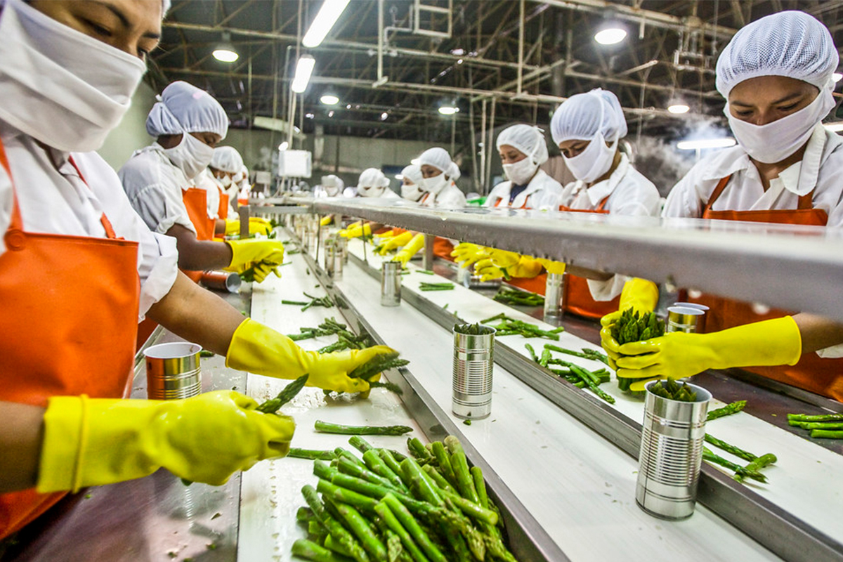 Food Industry