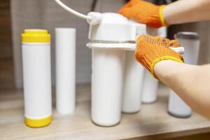 Proin velit metus placerat quis enim